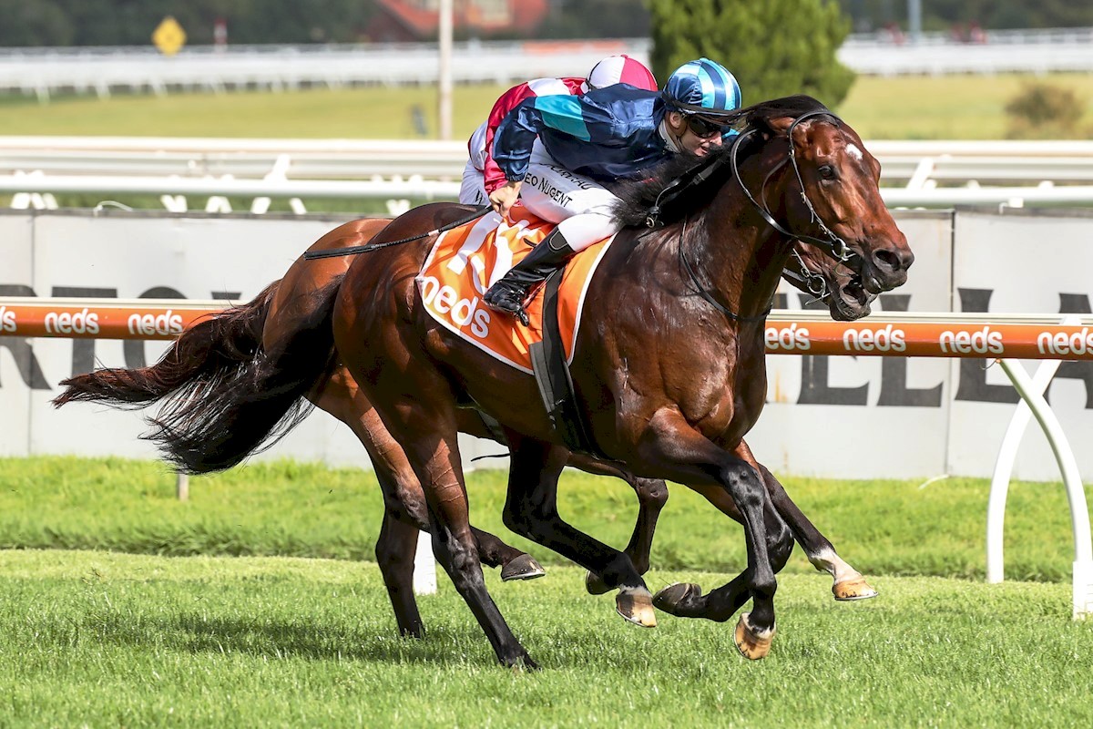 Portland Sky & Teo Nugent, Oakleigh Plate Feb 2021